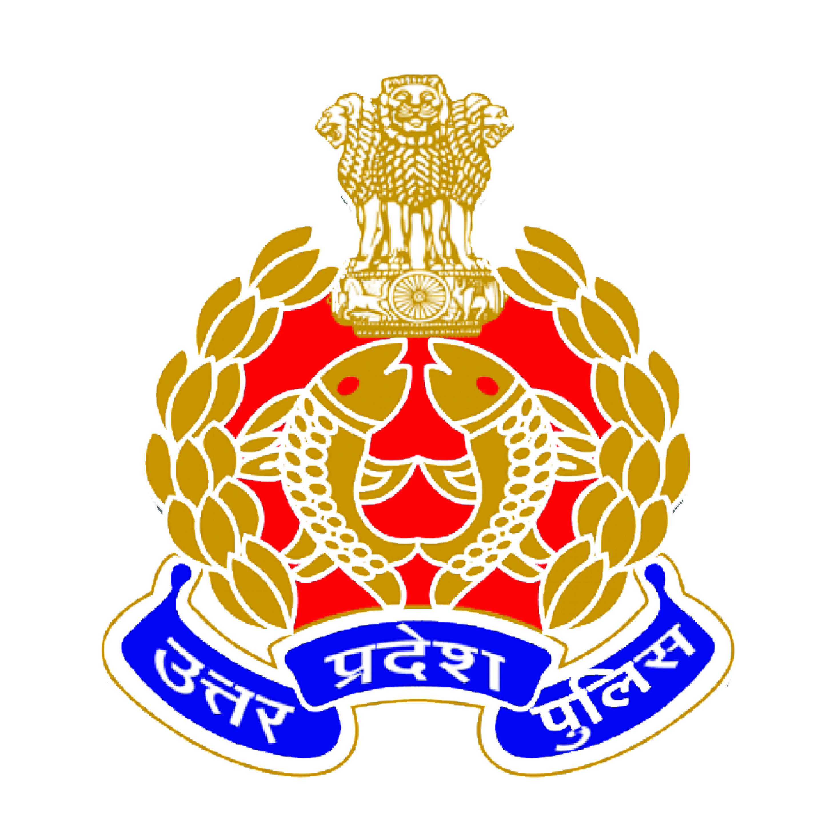 UP Police Computer Operator Eligibility Criteria 2024 Detail Here