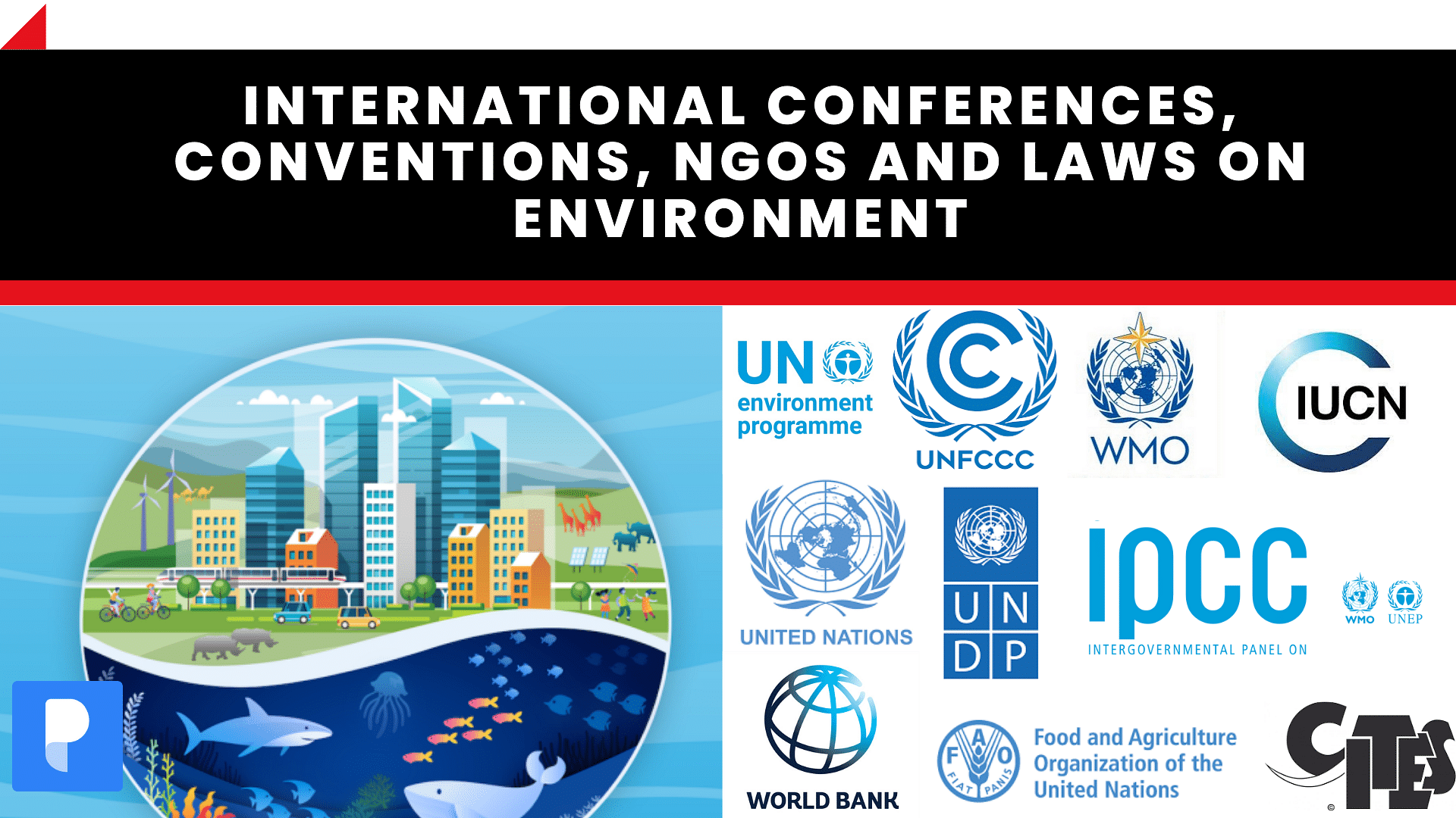 International Conferences, Conventions, NGOs and Laws on Environment