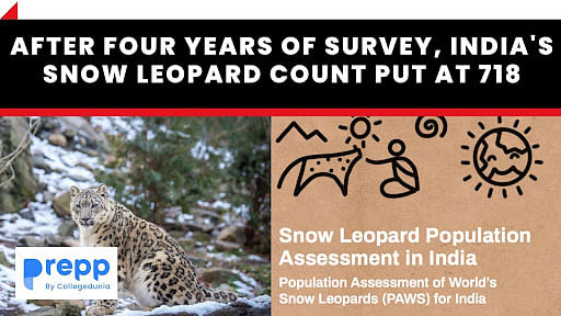 After Four Years of Survey, India's Snow Leopard Count Put at 718