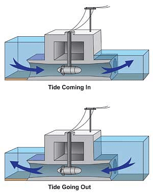 Modeling of tidal barrage system. | Download Scientific Diagram