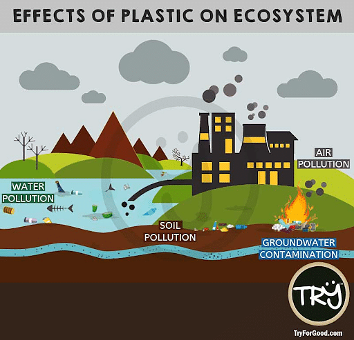 Impacts of Plastic Pollution on the different ecosystem (UPSC Current Affairs)