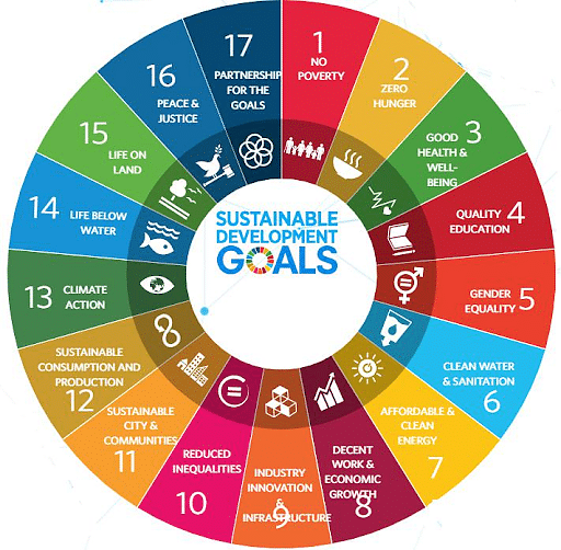 17 Sustainable Development Goals SDGs  E09507a123d3dc81e0c98c9516f71548 ?tr=w 512,h 502,c Force