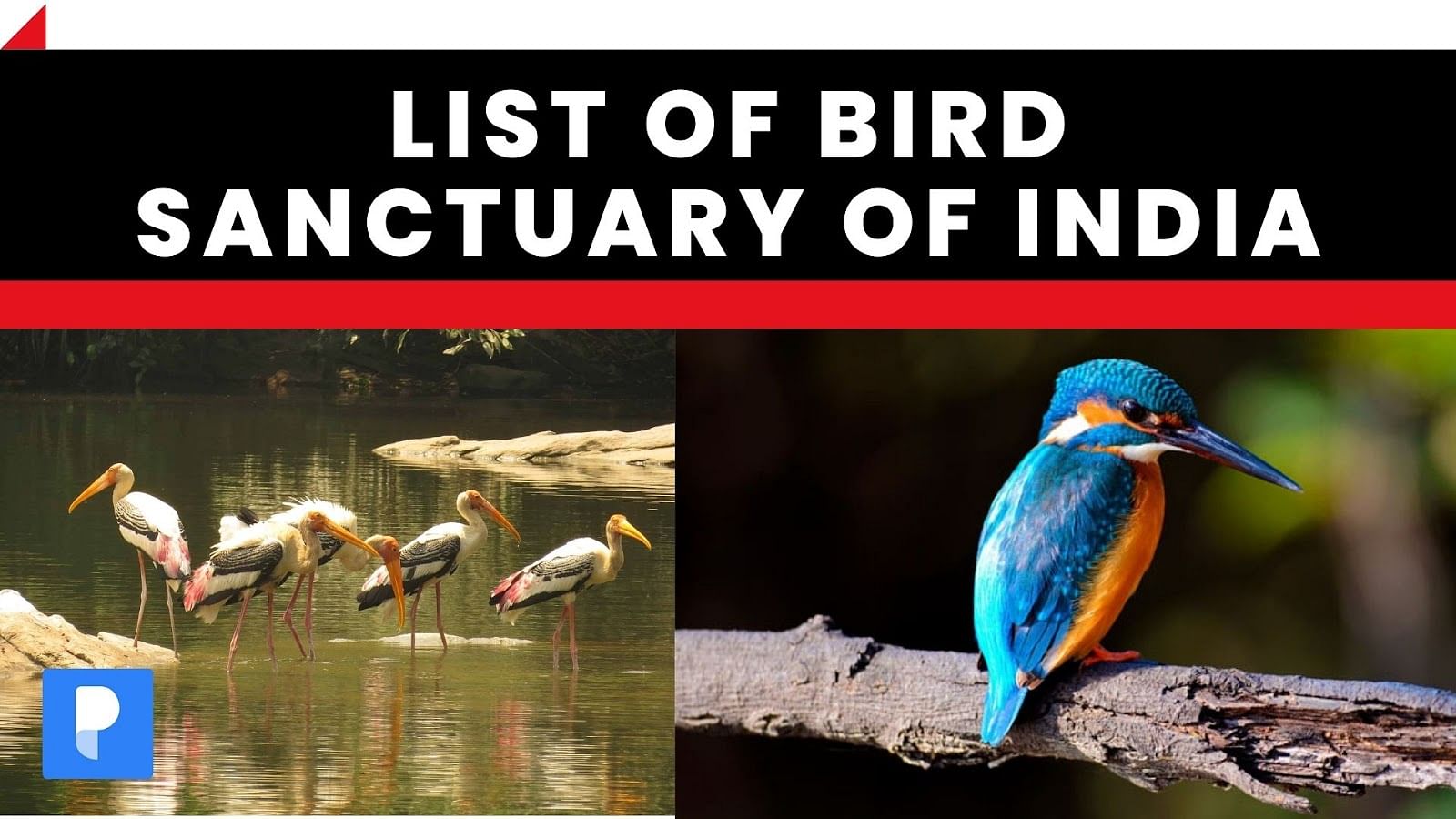 List of Bird Sanctuary of India