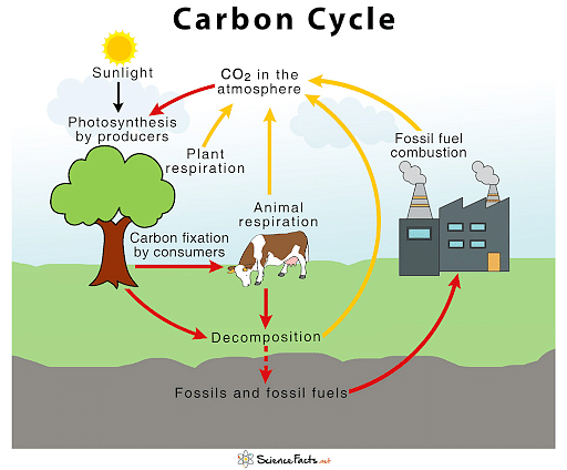 gaseous-cycles-environment-notes