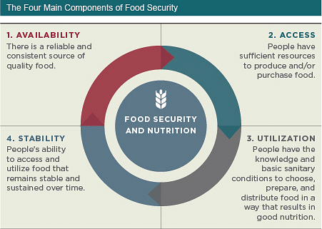 food security programmes in india