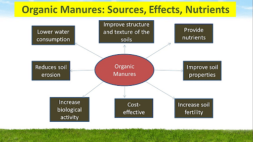 Green Leaf Manure - A Useful Organic Manure - The Permaculture Research  Institute