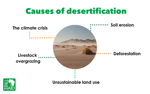 desertification diagram