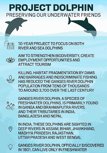 Project Dolphin - Environment Notes