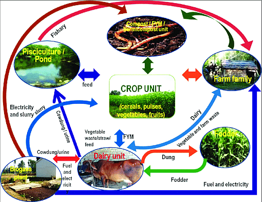 research paper on integrated farming system