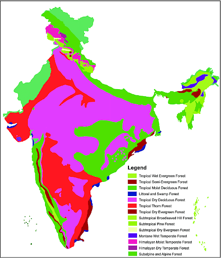 Indian Forest Types - Environment Notes